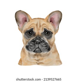 Dog French Bulldog watercolor painting  Adorable puppy animal isolated white background  Realistic cute dog portrait vector illustration