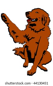 dog friend