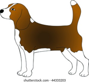 dog friend