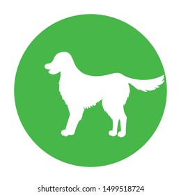 Dog friendly sign. White silhouette of dog on green circle. Vector. Breed labrador, golden retriever