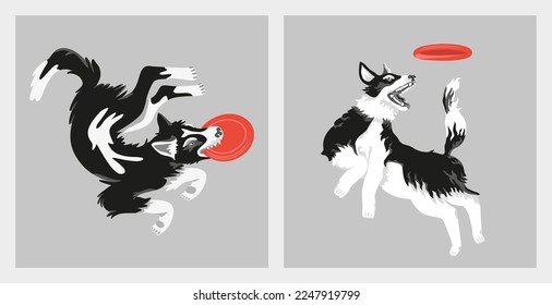 Dog frisbee playing. Dogs jumping to the disk in various poses. Funny cute characters. Hand drawn modern vector illustration. Set of two square pictures with black and white silhouette and red disk.