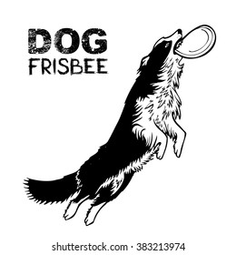 Dog Frisbee Sports, Vector Illustration