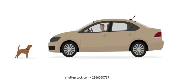 Dog In Front Of A Car With A Driver On A White Background