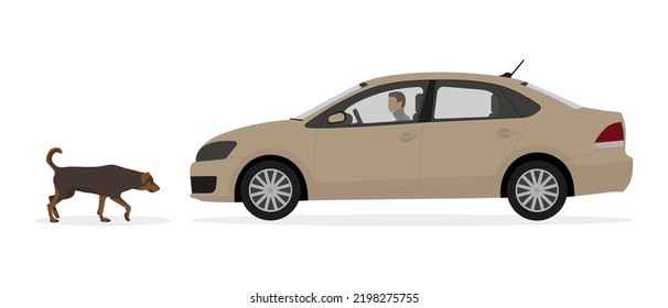 Dog In Front Of A Car With A Driver On A White Background