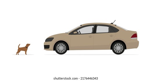 Dog In Front Of A Car On A White Background