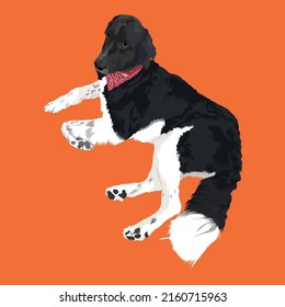 Perro Diseño vectorial de cuerpo completo con color naranja pastel Fondo