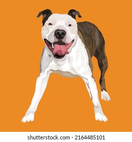 Dog Full Body Vector Design With Rust color Background