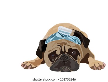 Dog with funny hat lying on white background