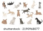 Dog funny sketch. Cute hand drawn adorable puppies, line dog characters playing sitting jumping, pet animals. Vector isolated collection. Illustration of sketch dog animal, puppy cartoon graphic
