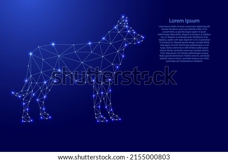 Dog from futuristic polygonal blue lines and glowing stars for banner, poster, greeting card. Vector illustration.