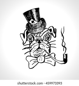 Dog gentleman portrait breed in top hat with tobacco tube. Hand Drawn animal Illustration. Cartoon Character Icon Stylish English