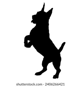 Dog German Pinscher silhouette Breeds Bundle Dogs on the move. Dogs in different poses. jumps, the dog runs. The dog is sitting. The dog is lying down playing
