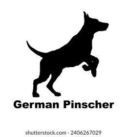 Dog German Pinscher silhouette Breeds Bundle Dogs on the move. Dogs in different poses.
The dog jumps, the dog runs. The dog is sitting lying down playing
