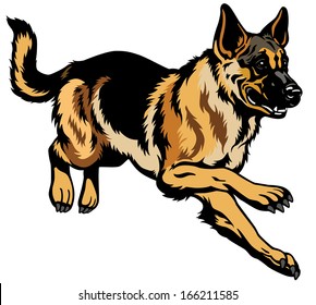 dog german shepherd breed. Illustration  isolated on white background