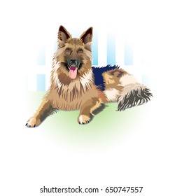 Dog, German Shepherd normal color, year of the dog, sheepdog, 2018, for the design of your publications.