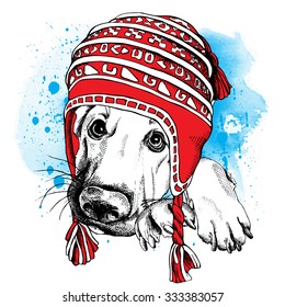 Dog German Shepherd in a red winter long knit hat on blue background. Vector illustration.