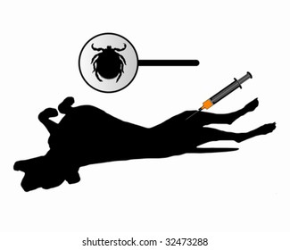 Dog gets an inoculation against ticks on white