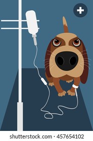 Dog gets treated. Vector illustration