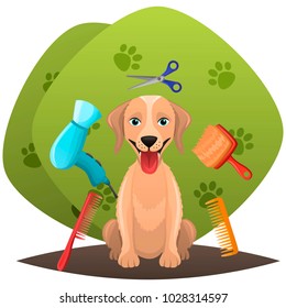 Dog getting groomed at pet grooming salon.Animal grooming salon illustraion.Pet shop concept.