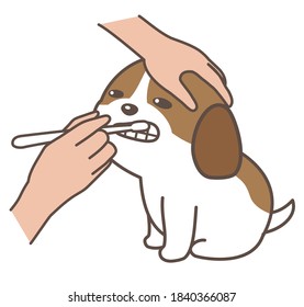 A dog getting its teeth cleaned. brushing its teeth.