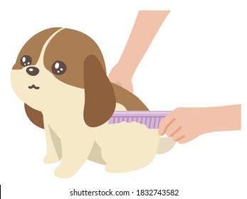 A dog is getting trimmed at the groomers.