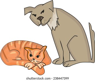 Dog and ginger cat