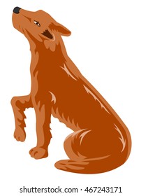 Dog gives paw