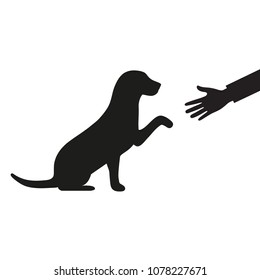 a dog gives a paw to a man on a white background