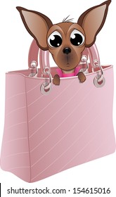 dog in a glamorous handbag