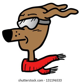 Dog glasses