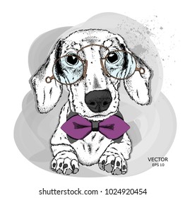 A dog with glasses and bow tie. Vector illustration