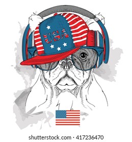Dog in the glasses, headphones and hip-hop hat with print of USA. Vector illustration.