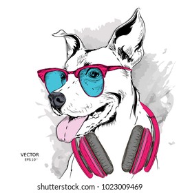 Dog in glasses and headphones. Vector illustration.
