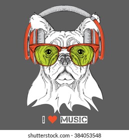 Dog in glasses and headphones. Vector illustration.