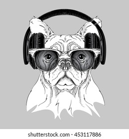 Dog in glasses and headphones. Vector illustration.
