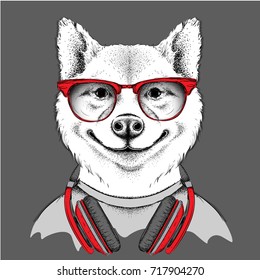 Dog in glasses and headphones. Vector illustration.