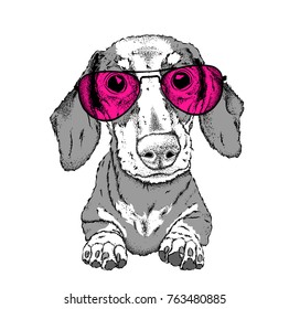 A dog in glasses. Hipster dog. Vector illustration