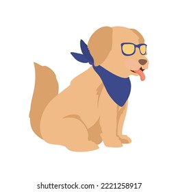 dog with glasses over white