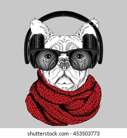 Dog in glasses, winter scarf and with headphones. Vector illustration.