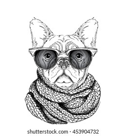Dog in glasses and winter scarf . Vector illustration.