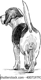  dog goes away