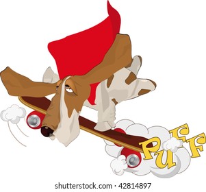 dog going for a drive on a board