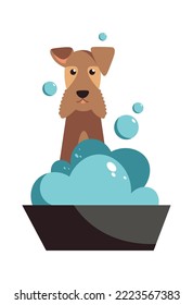 The dog is going to take a bath Animal icon. Vector illustration