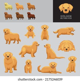 Hund Golden Retriever Cartoon Vektorgrafik Farbvariante Set
