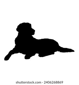 Hund Golden Retriever liegt Silhouette Breeds Paket Hunde unterwegs. Hunde in verschiedenen Posen. springt, der Hund rennt. Der Hund sitzt. Der Hund liegt herunter und spielt
