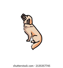 Dog golden retriever in muzzle color line icon. Pictogram for web page, mobile app, promo.