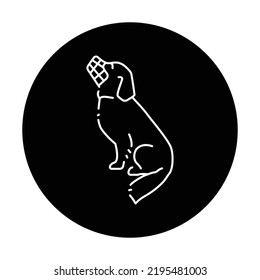 Dog golden retriever in muzzle color line icon. Pictogram for web page, mobile app, promo.