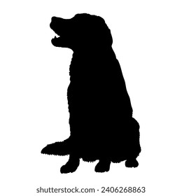 Dog Golden Retriever sitting silhouette Breeds Bundle Dogs on the move. Dogs in different poses. jumps, the dog runs. The dog is sitting. The dog is lying down playing
