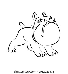 dog graphic design template