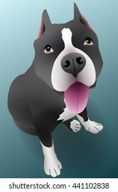 dog graphic vector